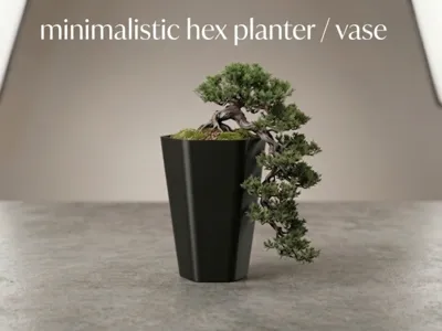 Minimalistic Hex Planter / Vase