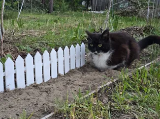 Modular Two-Sided Garden fence 