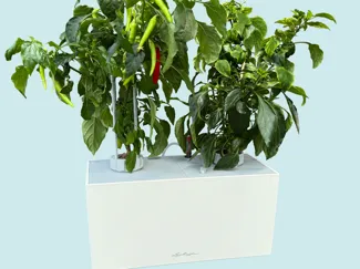 Hydroponic plant pot based on Lechuza BALCONERA
