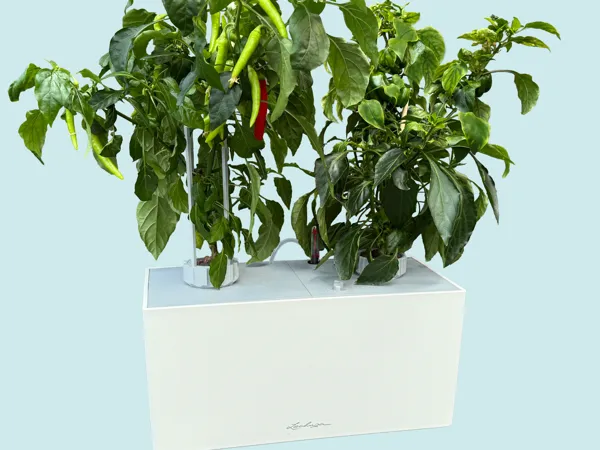 https://makerworld.bblmw.com/makerworld/model/USd2d5aaf8b36abe/design/2025-06-08_5471de170a261.jpg