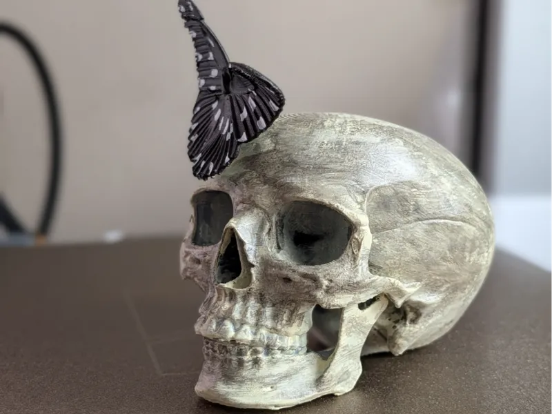 Totenkopf mit Schmetterling