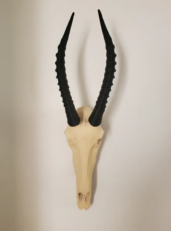 https://makerworld.bblmw.com/makerworld/model/USd2d98102657c7b/design/2024-10-12_0e8c5812dd942.jpg