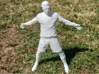 Ronaldo — photo 1