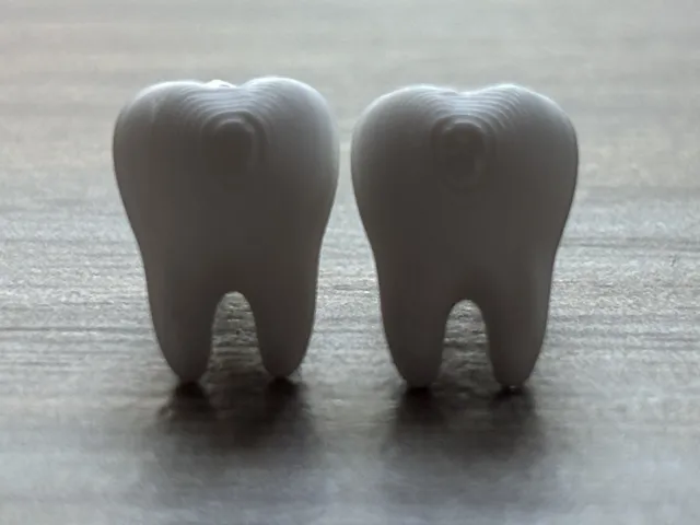 Molar Stud Earrings - Dental Humor Jewelry