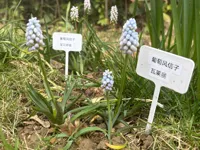0.2mm 层高, 3 层墙, 15% 填充