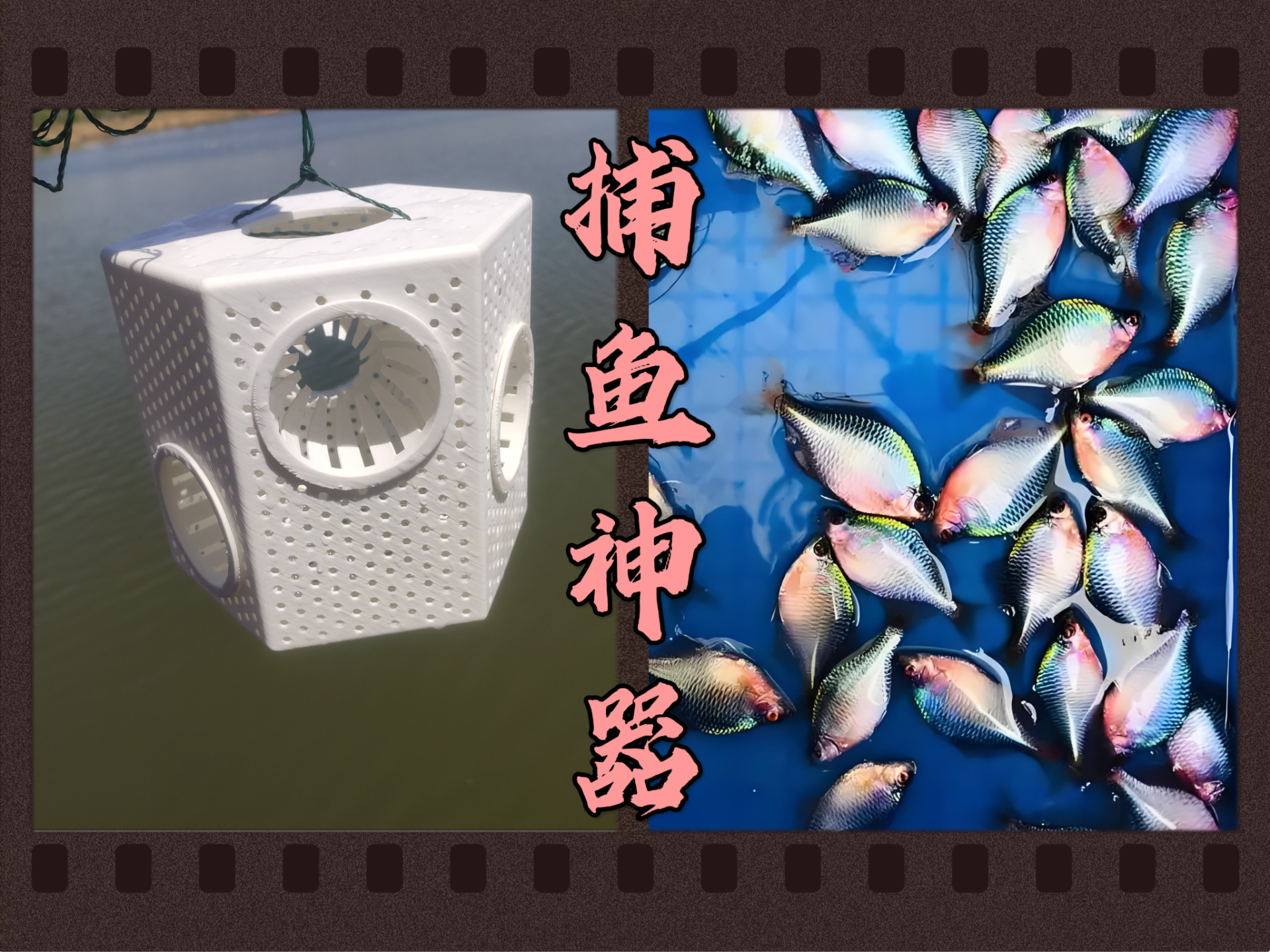 捕鱼神器