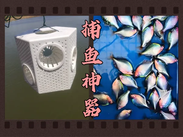 https://makerworld.bblmw.com/makerworld/model/USd2ebd936731beb/design/2025-04-18_20977447514ca.jpg