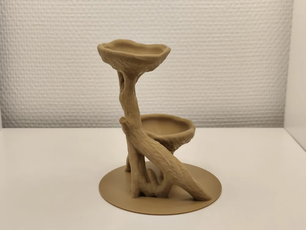 Jardinière Racine d'Arbre Naturelle pour Aquarium Terrarium - Modèle d ...