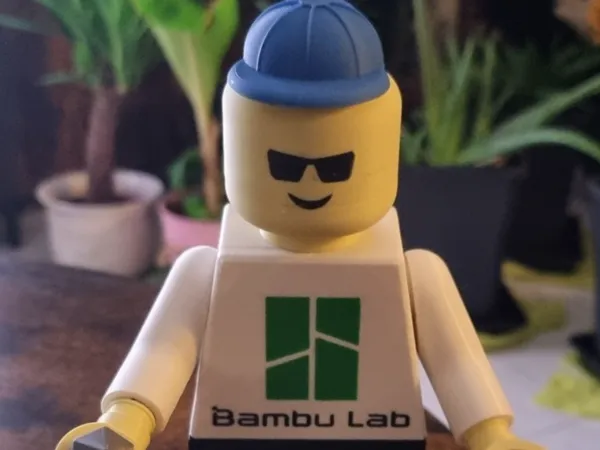 https://makerworld.bblmw.com/makerworld/model/USd2ef0b7677e4c8/design/2024-10-16_2c80fd08af223.jpg