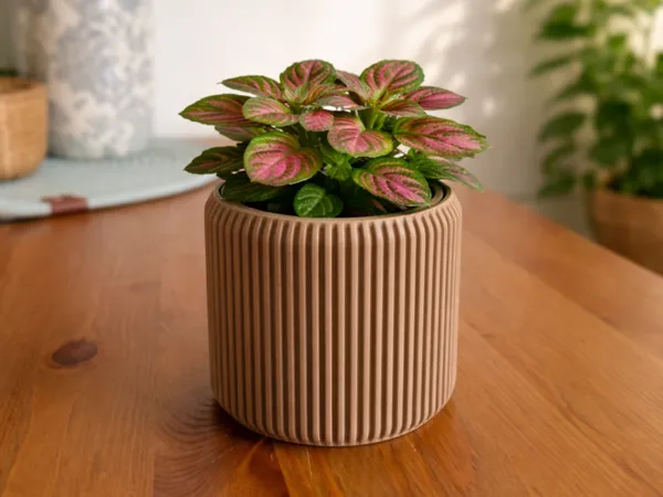 https://makerworld.bblmw.com/makerworld/model/USd2effba69acd50/design/1ca2beddd783ff11.png