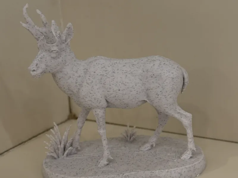 Pronghorn