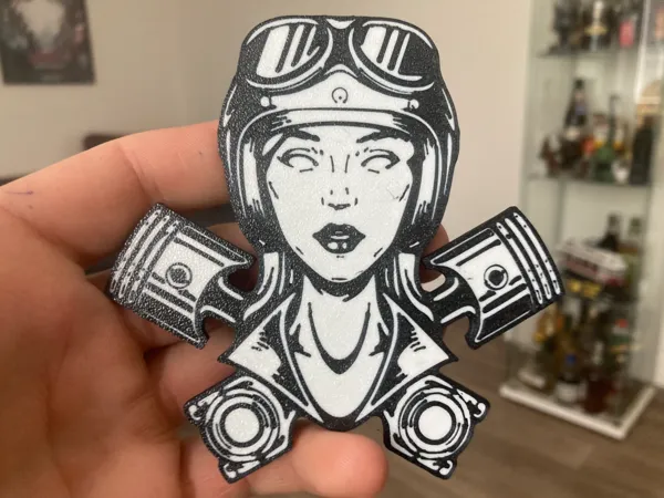 https://makerworld.bblmw.com/makerworld/model/USd2f6d91c0c6fe4/design/2024-06-03_e803512dd8097.jpg