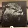 0.08mm layer, 2 walls, 100% infill