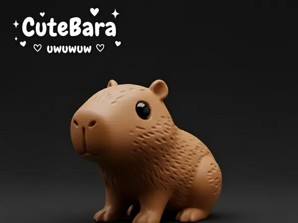 https://makerworld.bblmw.com/makerworld/model/USd304acff3569c0/design/2025-11-23_7e89a46370ae68.png