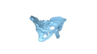 Pelvis (bone)