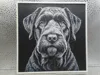 Black Russian Terrier_170x170_A1 Mini