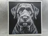 Black Russian Terrier_170x170_P1S