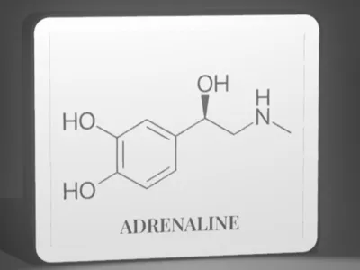 Adrenaline Lightbox