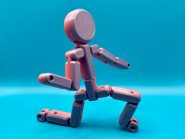 https://makerworld.bblmw.com/makerworld/model/USd30cdb6ac581e1/design/2024-07-08_0e57a69e4c74a8.jpg