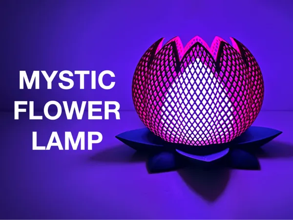 https://makerworld.bblmw.com/makerworld/model/USd30eff18a9329b/design/2025-02-08_167f15d048812.jpg