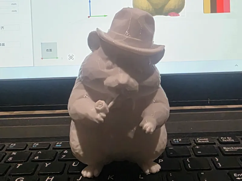 戴帽子的仓鼠