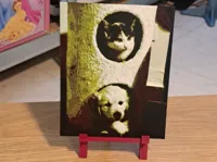 0.2mm layer, 2 walls, 15% infill