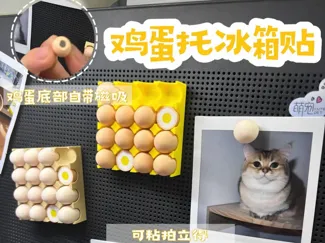 鸡蛋托冰箱贴