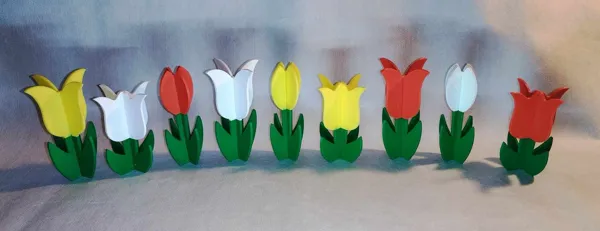 https://makerworld.bblmw.com/makerworld/model/USd3139be1129049/design/2024-04-03_600e331adaa65.jpeg