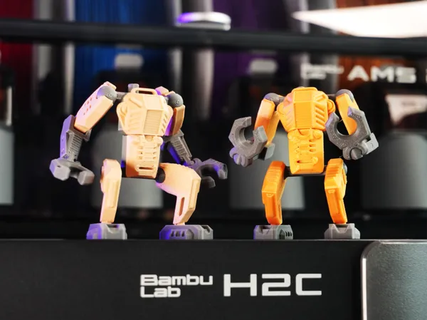 https://makerworld.bblmw.com/makerworld/model/USd314ff7704857e/design/b9d226679f9d097d.jpg