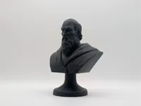 0.12mm layer, 2 walls, 5% infill