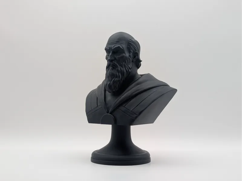 Thaedus Bust