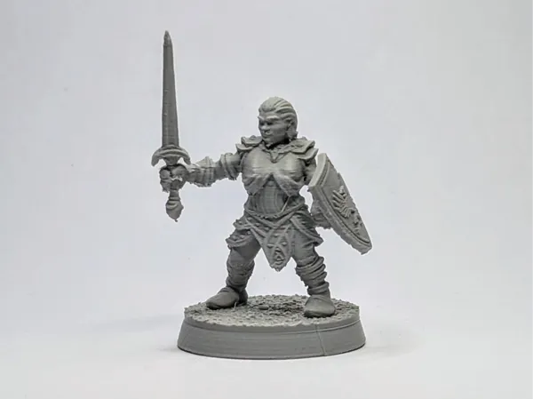 https://makerworld.bblmw.com/makerworld/model/USd3174d381501f8/design/2025-06-29_10b15cca1e191.jpeg