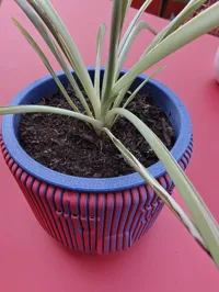 finishing top ring to hide plastic pot