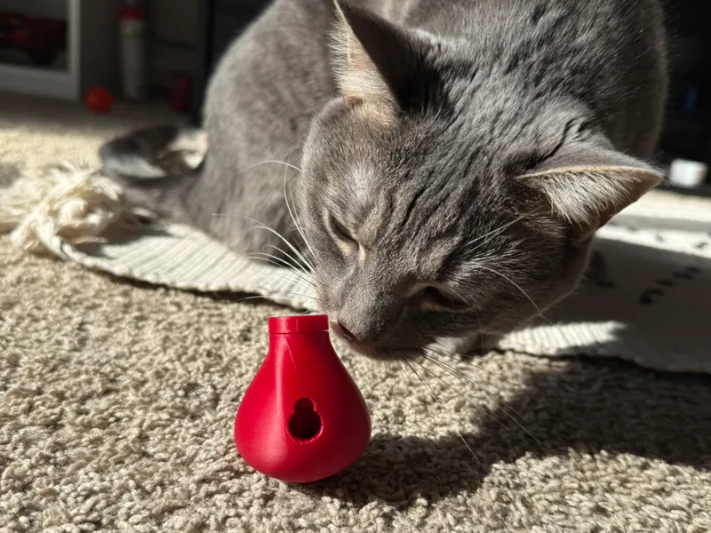 Cat Kong (Treat dispensing toy)