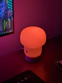 No supports needed, 2g less filament