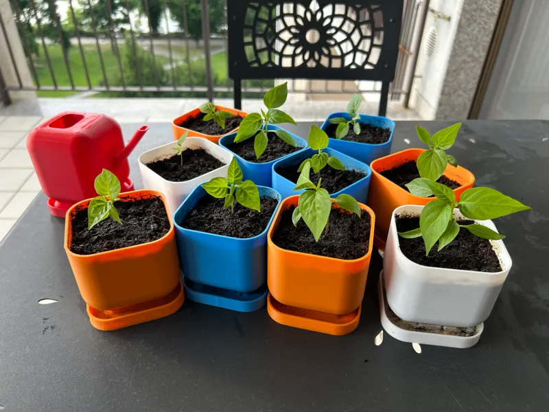 ADKS - Easy all-in-one plant pot + saucer