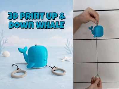 Up & Down Whale Toy