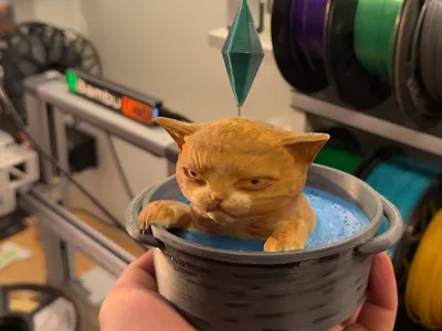 Cat Sims MEME