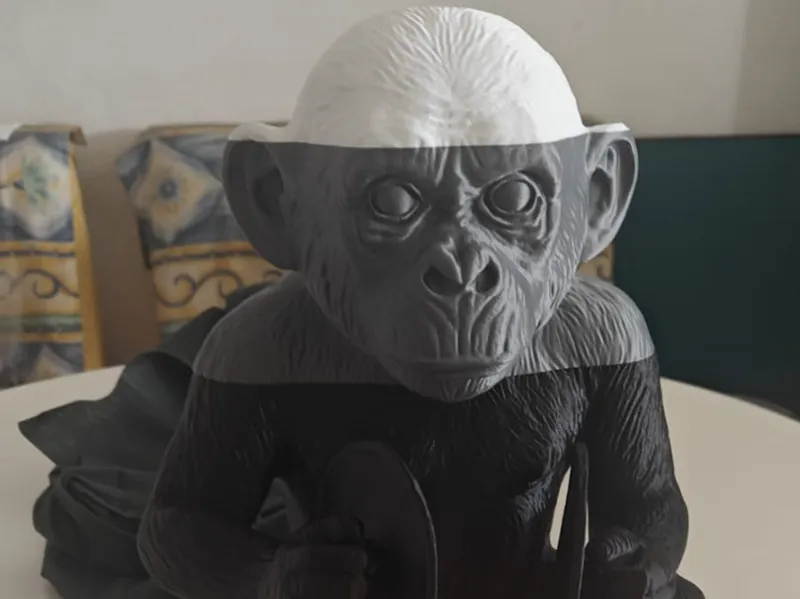 Monkey Playing The Cymbals
