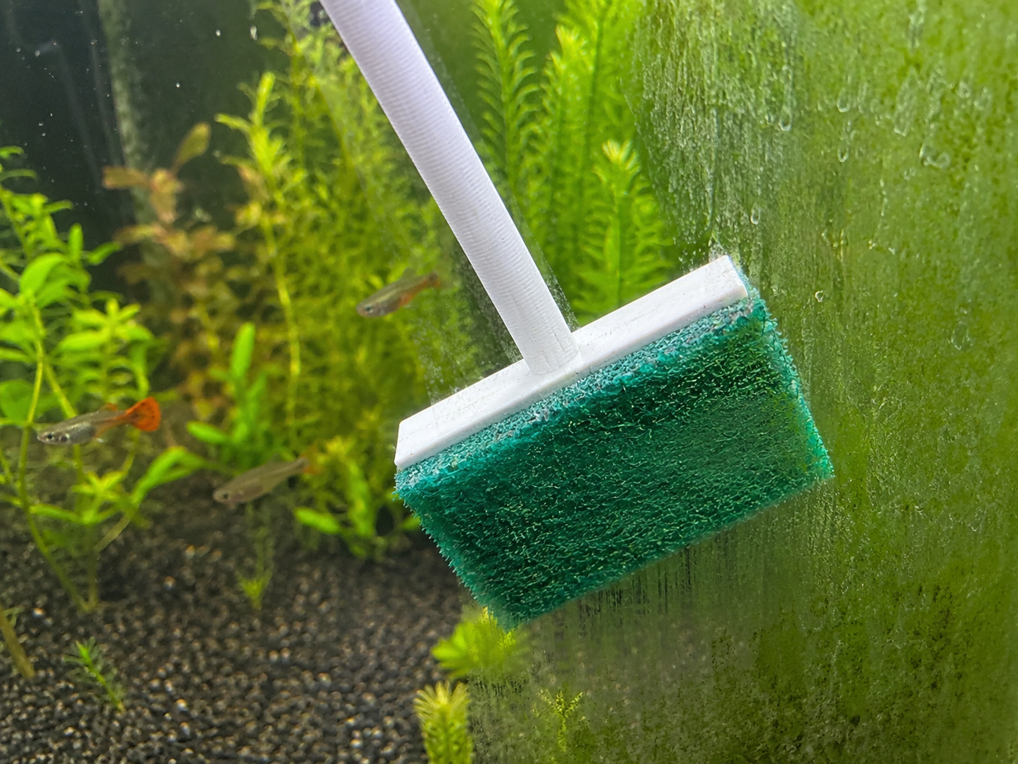 Aquarium Glass Cleaner