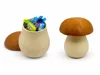 Mushroom Storage Jar