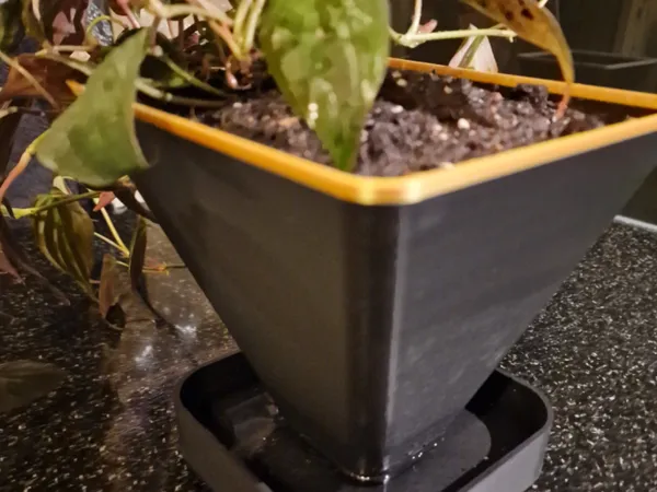 https://makerworld.bblmw.com/makerworld/model/USd334721ea2cf5d/design/2024-10-01_ff8ab673bb0328.jpg