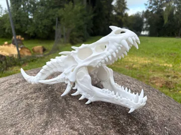 Adorno temático: DRAGON SKULL- MOVABLE JAW — vista de referencia 5
