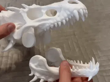 Adorno temático: DRAGON SKULL- MOVABLE JAW — vista de referencia 2