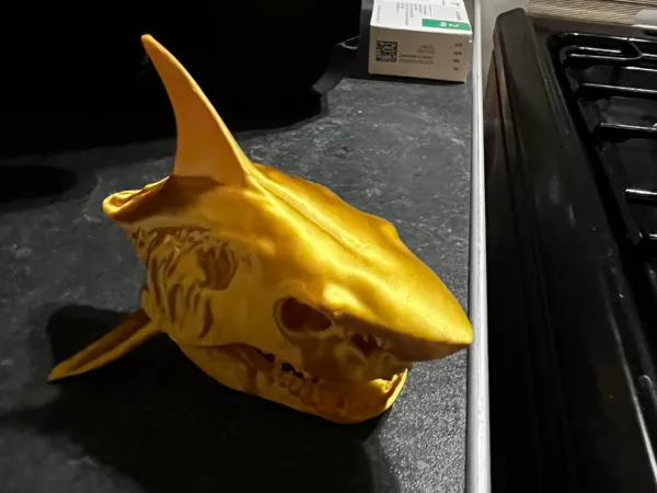 Crâne de requin 3D