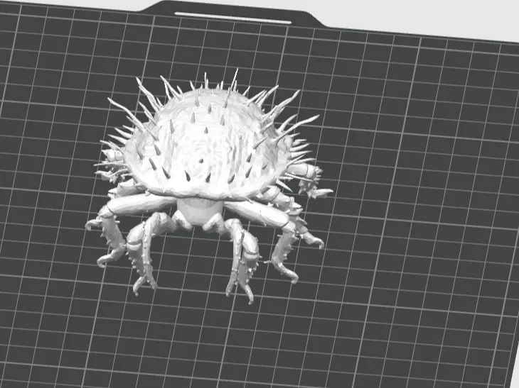 Akar Modeli - Mite Model