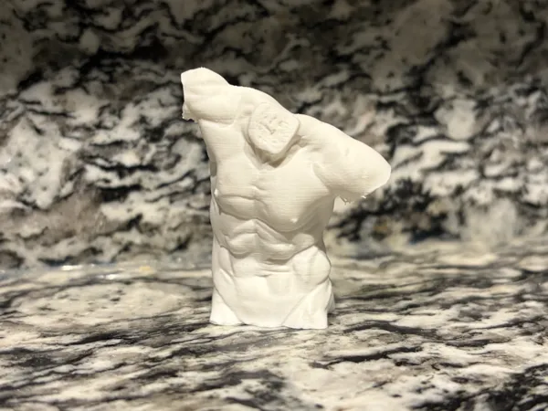 https://makerworld.bblmw.com/makerworld/model/USd348326471b667/design/3d5eee7d6496b0cf.jpeg