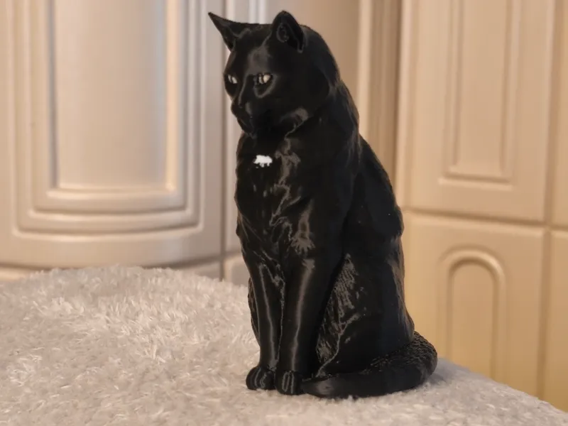 Black cat sitting - another model