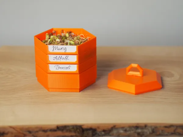 https://makerworld.bblmw.com/makerworld/model/USd34c13c45e75d4/design/2025-04-09_545e589381295.jpg