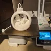 1 support branch, 1 color, 0.2mm layer, 2 walls, 10% infill